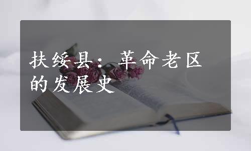 扶绥县：革命老区的发展史