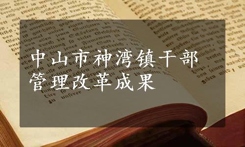 中山市神湾镇干部管理改革成果