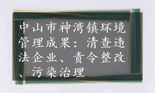 中山市神湾镇环境管理成果：清查违法企业、责令整改、污染治理