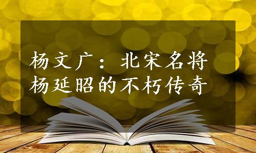 杨文广：北宋名将杨延昭的不朽传奇