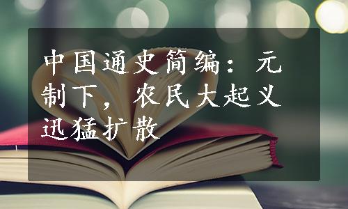 中国通史简编：元制下，农民大起义迅猛扩散