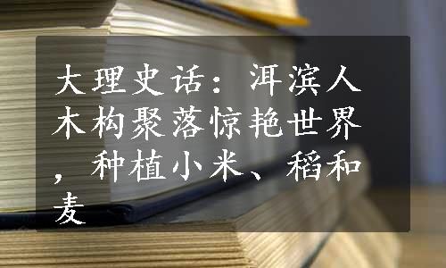 大理史话：洱滨人木构聚落惊艳世界，种植小米、稻和麦