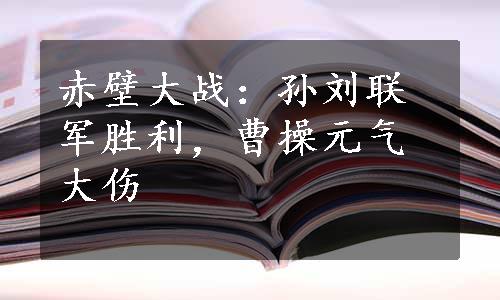 赤壁大战：孙刘联军胜利，曹操元气大伤