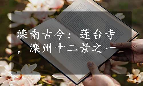 滦南古今：莲台寺，滦州十二景之一