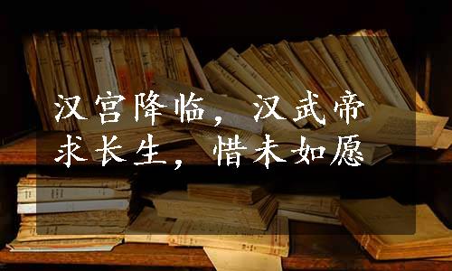 汉宫降临，汉武帝求长生，惜未如愿