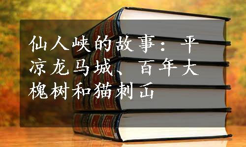 仙人峡的故事：平凉龙马城、百年大槐树和猫刺屲