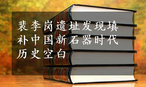 裴李岗遗址发现填补中国新石器时代历史空白