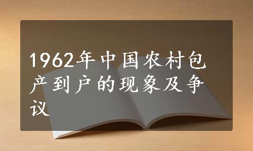 1962年中国农村包产到户的现象及争议