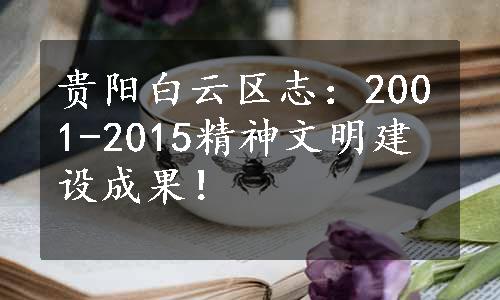 贵阳白云区志：2001-2015精神文明建设成果！