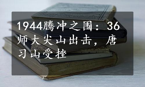 1944腾冲之围：36师大尖山出击，唐习山受挫