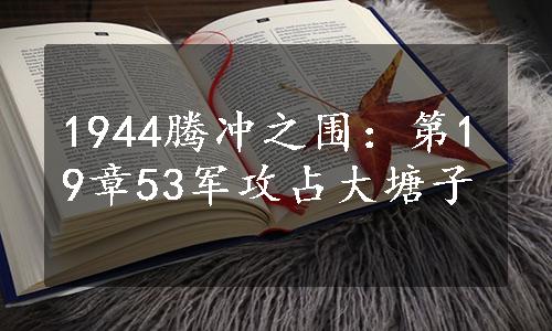 1944腾冲之围：第19章53军攻占大塘子