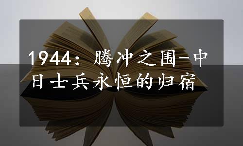 1944：腾冲之围-中日士兵永恒的归宿