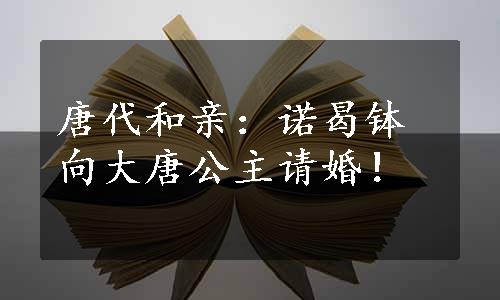 唐代和亲：诺曷钵向大唐公主请婚！