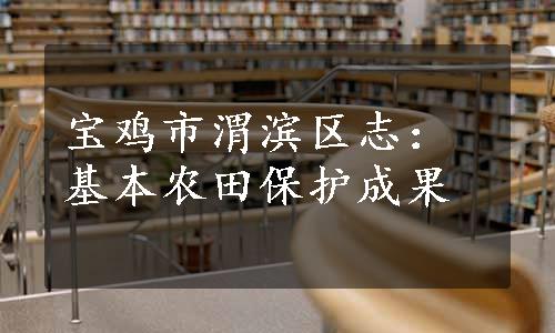 宝鸡市渭滨区志：基本农田保护成果