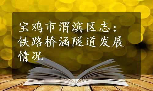 宝鸡市渭滨区志：铁路桥涵隧道发展情况