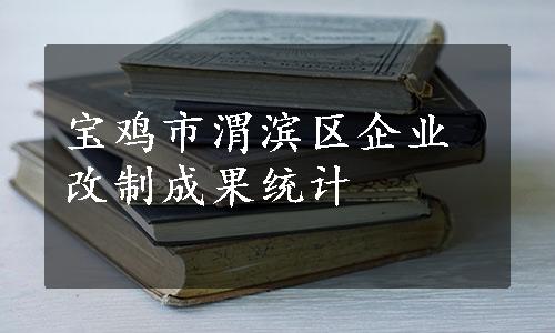 宝鸡市渭滨区企业改制成果统计