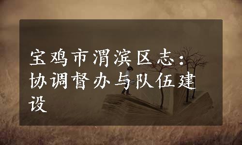 宝鸡市渭滨区志：协调督办与队伍建设