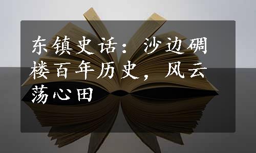 东镇史话：沙边碉楼百年历史，风云荡心田