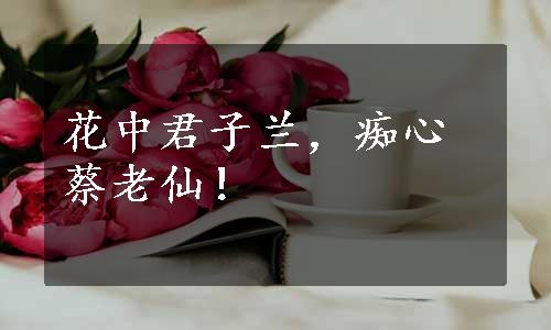 花中君子兰，痴心蔡老仙！