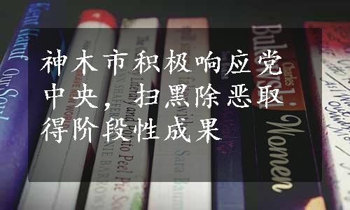 神木市积极响应党中央，扫黑除恶取得阶段性成果