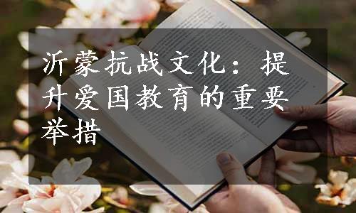 沂蒙抗战文化：提升爱国教育的重要举措