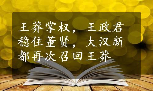 王莽掌权，王政君稳住董贤，大汉新都再次召回王莽