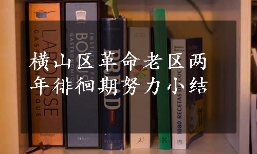 横山区革命老区两年徘徊期努力小结