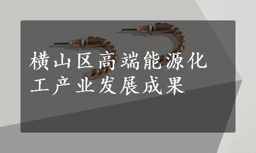 横山区高端能源化工产业发展成果