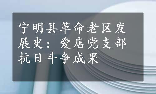 宁明县革命老区发展史：爱店党支部抗日斗争成果