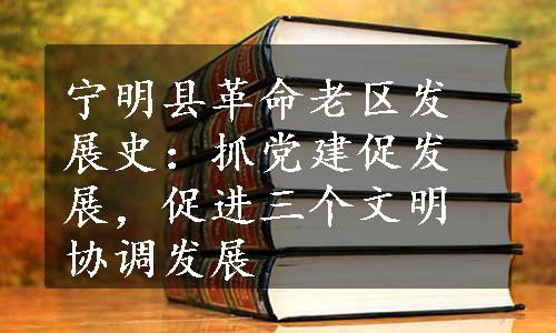 宁明县革命老区发展史：抓党建促发展，促进三个文明协调发展