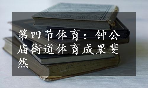 第四节体育：钟公庙街道体育成果斐然