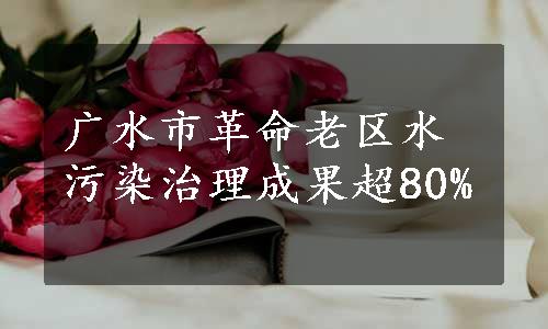 广水市革命老区水污染治理成果超80%