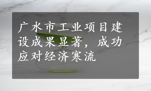 广水市工业项目建设成果显著，成功应对经济寒流