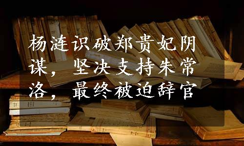 杨涟识破郑贵妃阴谋，坚决支持朱常洛，最终被迫辞官