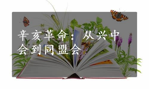 辛亥革命：从兴中会到同盟会