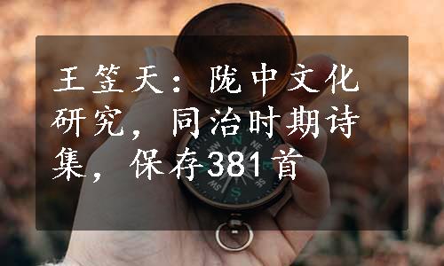 王笠天：陇中文化研究，同治时期诗集，保存381首