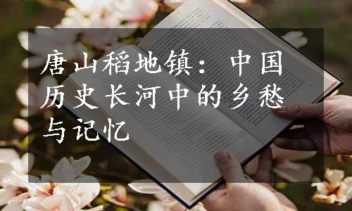 唐山稻地镇：中国历史长河中的乡愁与记忆