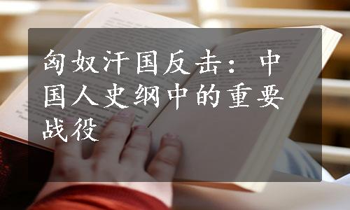 匈奴汗国反击：中国人史纲中的重要战役