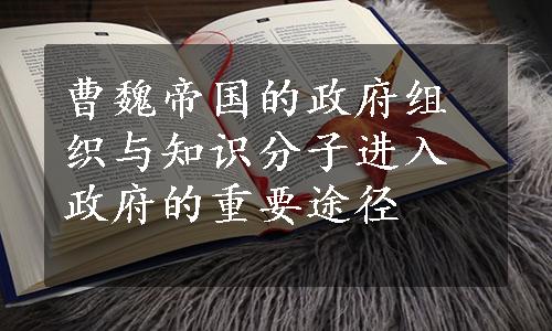 曹魏帝国的政府组织与知识分子进入政府的重要途径