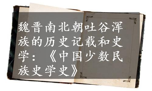 魏晋南北朝吐谷浑族的历史记载和史学：《中国少数民族史学史》