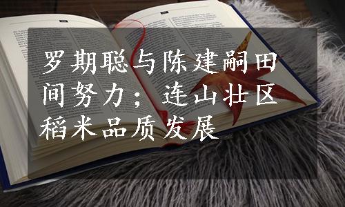 罗期聪与陈建嗣田间努力；连山壮区稻米品质发展