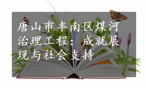 唐山市丰南区煤河治理工程：成就展现与社会支持