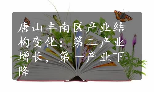 唐山丰南区产业结构变化：第二产业增长，第一产业下降