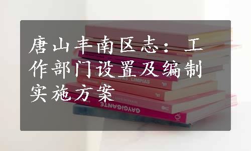 唐山丰南区志：工作部门设置及编制实施方案