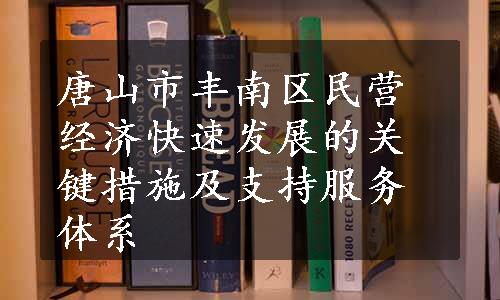 唐山市丰南区民营经济快速发展的关键措施及支持服务体系