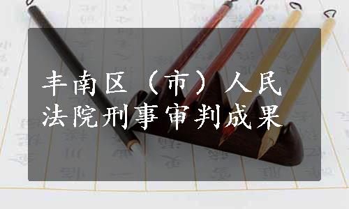 丰南区（市）人民法院刑事审判成果