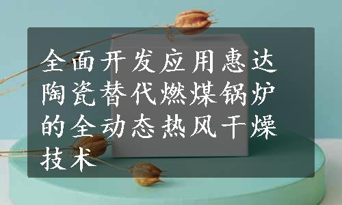 全面开发应用惠达陶瓷替代燃煤锅炉的全动态热风干燥技术