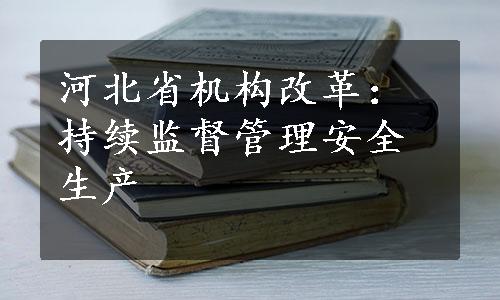 河北省机构改革：持续监督管理安全生产