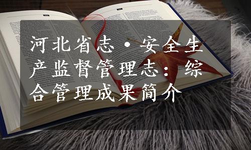 河北省志·安全生产监督管理志：综合管理成果简介