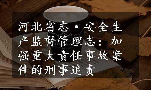 河北省志·安全生产监督管理志：加强重大责任事故案件的刑事追责